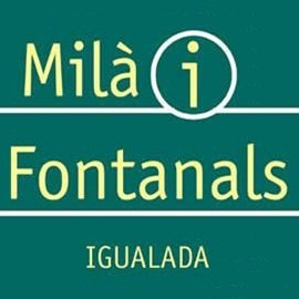 Institut Milà i Fontanals